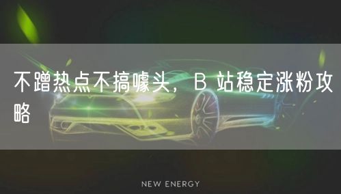 不蹭热点不搞噱头，B 站稳定涨粉攻略