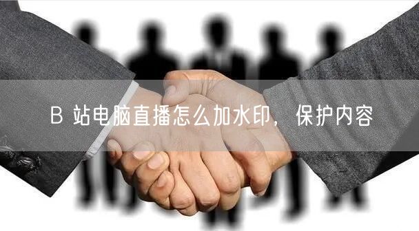 B 站电脑直播怎么加水印，保护内容