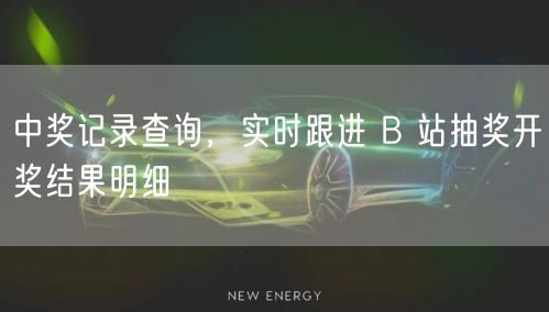 中奖记录查询，实时跟进 B 站抽奖开奖结果明细