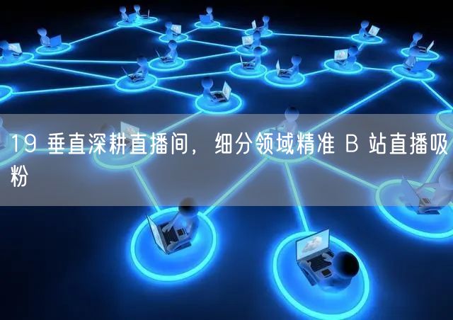 19 垂直深耕直播间，细分领域精准 B 站直播吸粉
