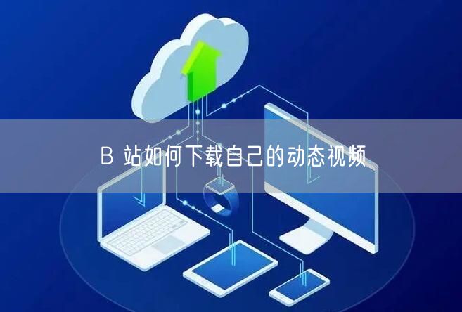 B 站如何下载自己的动态视频