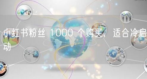 小红书粉丝 1000 个购买，适合冷启动