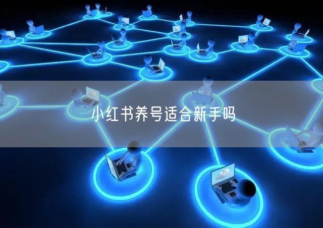 小红书养号适合新手吗