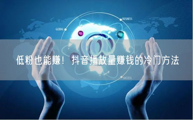 低粉也能赚！抖音播放量赚钱的冷门方法