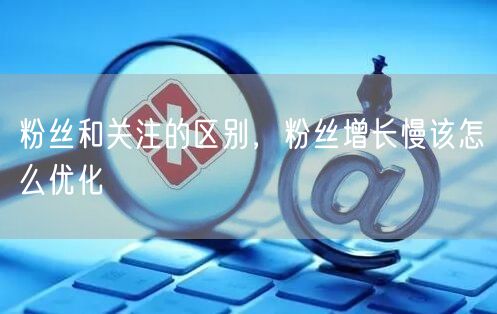 粉丝和关注的区别，粉丝增长慢该怎么优化
