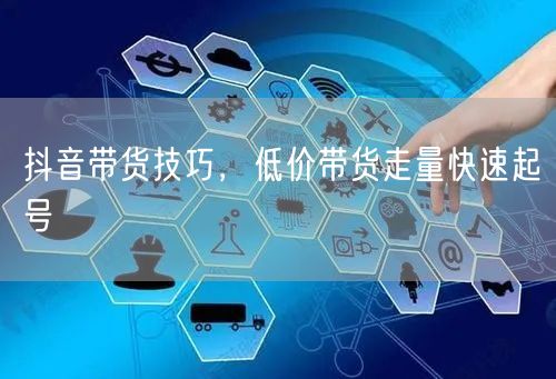 抖音带货技巧，低价带货走量快速起号